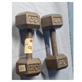 Pair of 20 lb Hex Dumbbells