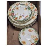 Steubenville Floral Dinnerware Set