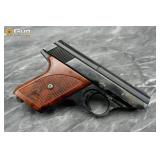 RG Industries RG26 .25 Semi Auto Pistol