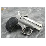 Bond Arms Rough N Rowdy .45/.410 Derringer