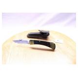 BUCK 110 LOCKBACK FOLDER W/ SHEATH WOOD HANDLE