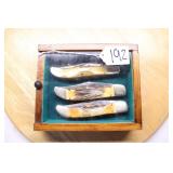 3 CASE 5165 FOLDING HUNTER STAG 5.5" W/CASE