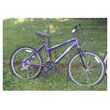 ROADMASTER MOUNTAIN SPORT BIKE