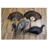 TURKEY FANS & TURKEY DECOYS