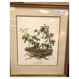 Framed Print, "White Throated Sparrow" by Framed Print, "White Throated Sparrow" by
