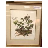 Framed Print, "White Throated Sparrow" by