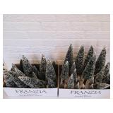 Dept 56 - Village Accessories - 2 Pieces- 18