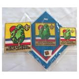 1973 Boy Scout National Scout Jamboree Patches-Pin