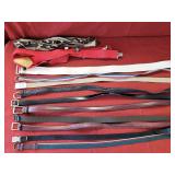 10 Leather - Cloth Belts & 2 Suspenders