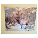 (2) Photo Prints - Nail Holes in Corners