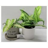 Two Small Faux Plants, Plant Pots