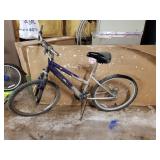 Roadmaster Sport SX Bicycle