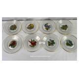 16 Bird Identification Plates 2 Each of 8 Images