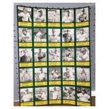 1984 Madison Muskies Baseball Uncut Card Sheet