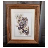 Manning Owl Framed Print 15" x 18"