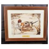 De Beer - Browsing Northern Pintails Print 13"x16"