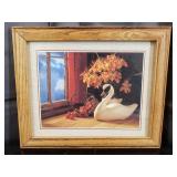 Framed Print - Swan in Sunlight - 10" x 12"