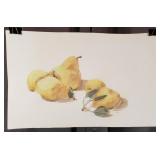 Carline Cuttrell - Pears Still Life - 11" x 18"