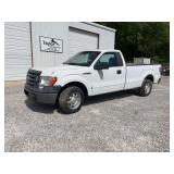 2010  FORD  F-150 Truck