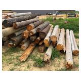 400+/- Cresote Posts - 12