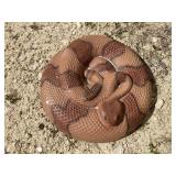 Painted Cement Rattlesnake Lawn Ornament,