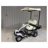 Cricket ESV Mini Golf Cart-Donation Item