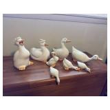 Ducks