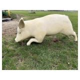 Charlotte the Pig!!
