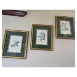 Set of pictures