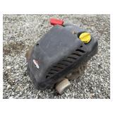 Briggs and Stratton Engine