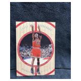 1998 5x7 Michael Jordan Upper Deck Hard Court