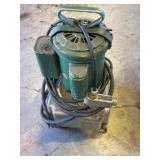 Hydraulic pump