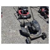 2-Push Mowers