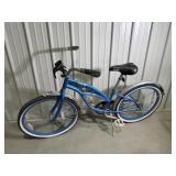 Schwinn Bike
