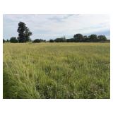 Lot 2 - 5.05 +/- Acres