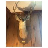 Buck wall mount