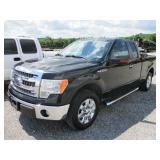 2013 FORD F150XLT PICKUP
