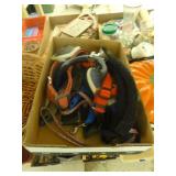dog brushes, collars, leashes