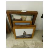 wildlife photographs in frames