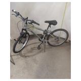 Roadmaster Mountain Bike