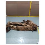 Taxidermy Mink Pelts - Lot of 3