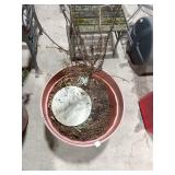 Large Plastic Planter w/ Dormant Plant