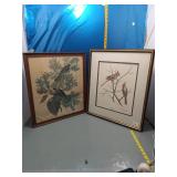 Ray Harm Pyrrhuloxia Signed Print, Framed