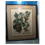 Audubon-Style Bird Print, Framed
