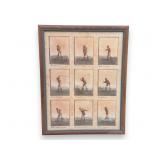 The Golf Swing Progression by David Nichols Print