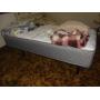 Estate Auction