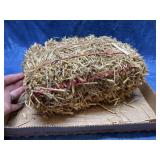 Mini bale of straw (10in long)