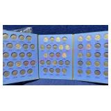 (22) Old Buffalo Nickels (various in book)