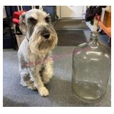 Lrg clear glass bottle (6gal)