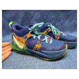 Nike Lebron Shoes, Size 5.5Y, DQ8650-400